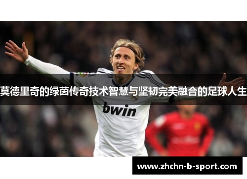 莫德里奇的绿茵传奇技术智慧与坚韧完美融合的足球人生 莫德里奇的绿茵传奇技术智慧与坚韧完美融合的足球人生