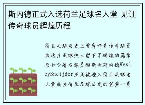 斯内德正式入选荷兰足球名人堂 见证传奇球员辉煌历程
